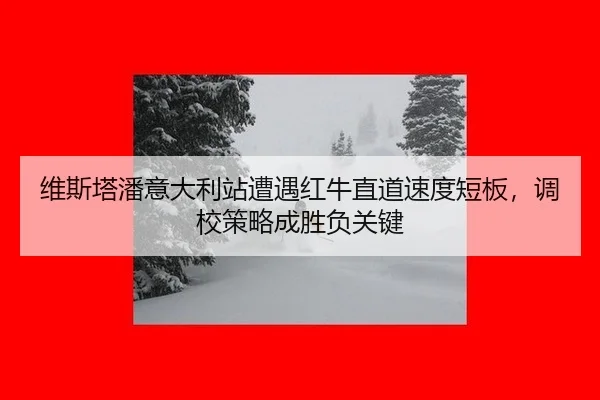 wei-si-ta-pan-yi-da-li-zhan-zao-yu-hong-niu-zhi-dao-su-du-duan-ban-diao-xiao-ce-lve-cheng-sheng-fu-guan-jian-3-934.jpg