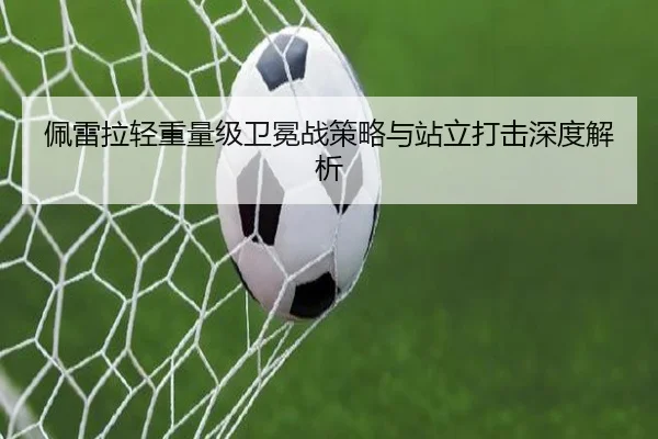 pei-lei-la-qing-zhong-liang-ji-wei-mian-zhan-ce-lve-yu-zhan-li-da-ji-shen-du-jie-xi-3-638.jpg