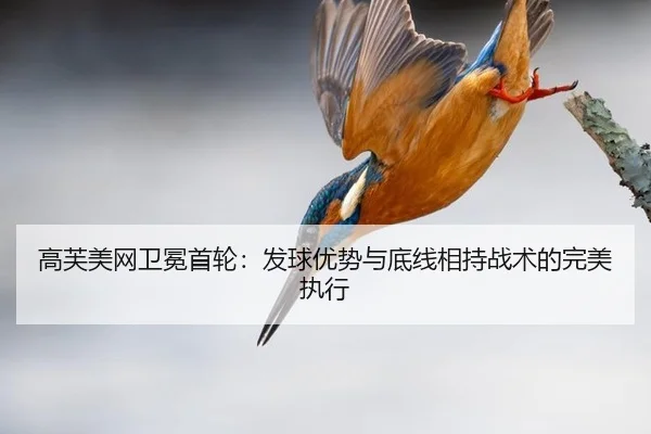 gao-fu-mei-wang-wei-mian-shou-lun-fa-qiu-you-shi-yu-di-xian-xiang-chi-zhan-shu-de-wan-mei-zhi-xing-3-832.jpg