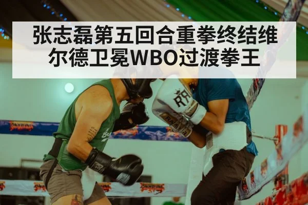 张志磊第五回合重拳终结维尔德卫冕WBO过渡拳王