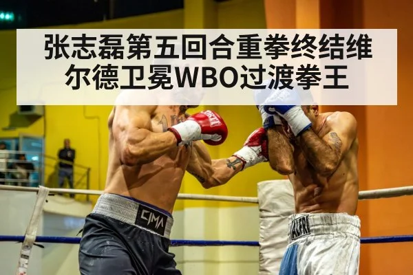 heavyweight boxer